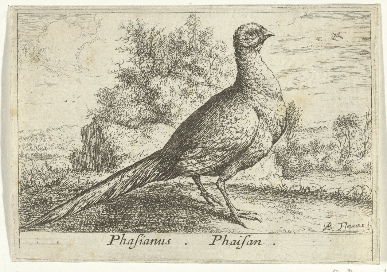 Landschap met fazant door Albert Flamen