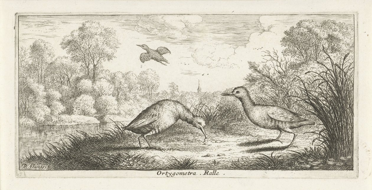 Landschap met twee rallen op een oever door Albert Flamen