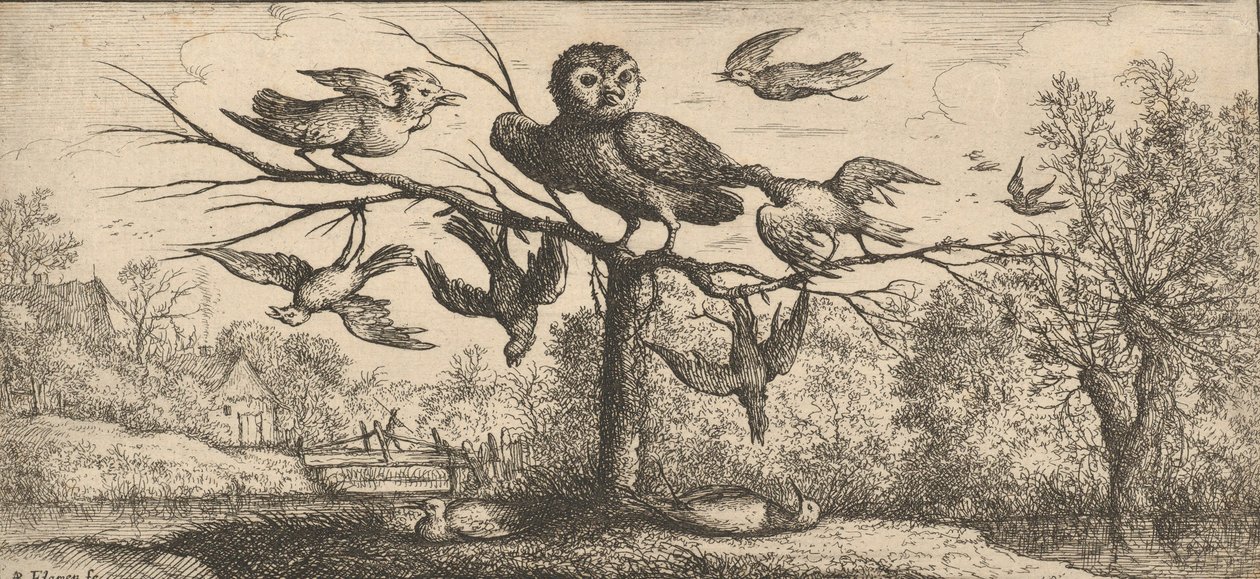 Monedula, Chouëtte De Uil: Livre d