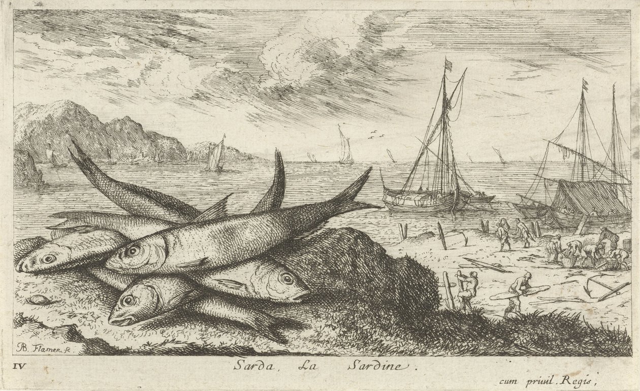 Sardines op het strand door Albert Flamen