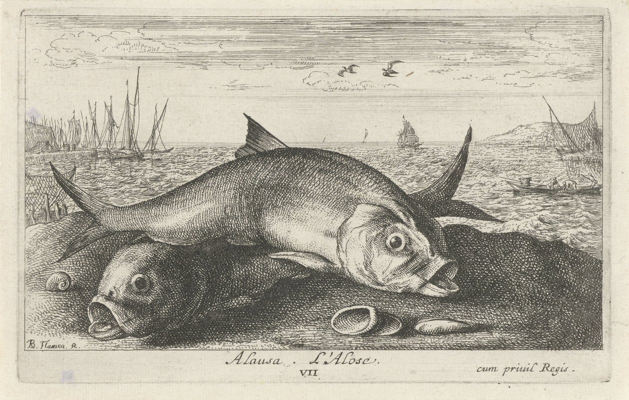 Twee meivissen op het strand door Albert Flamen