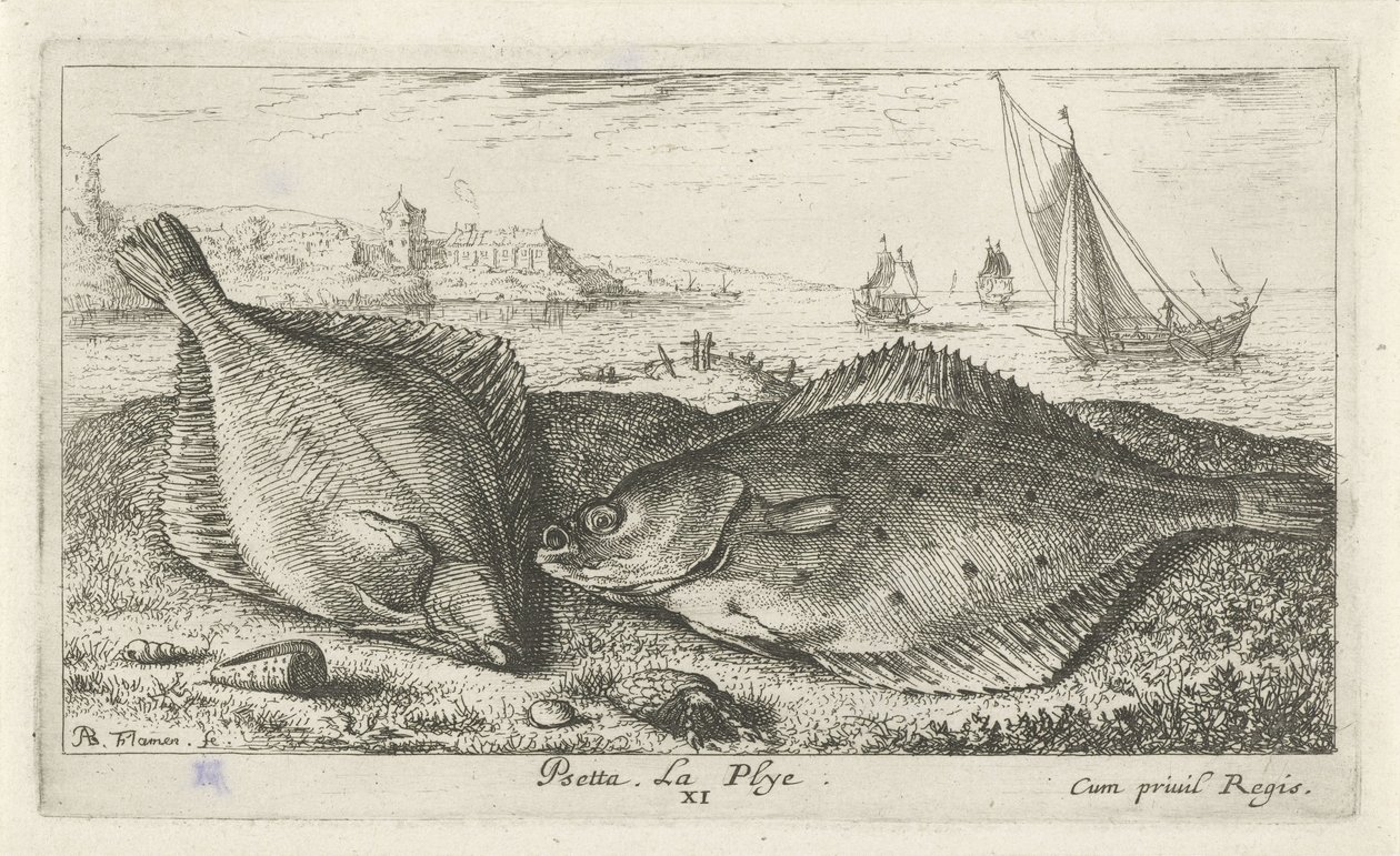 Twee platvissen op het strand door Albert Flamen