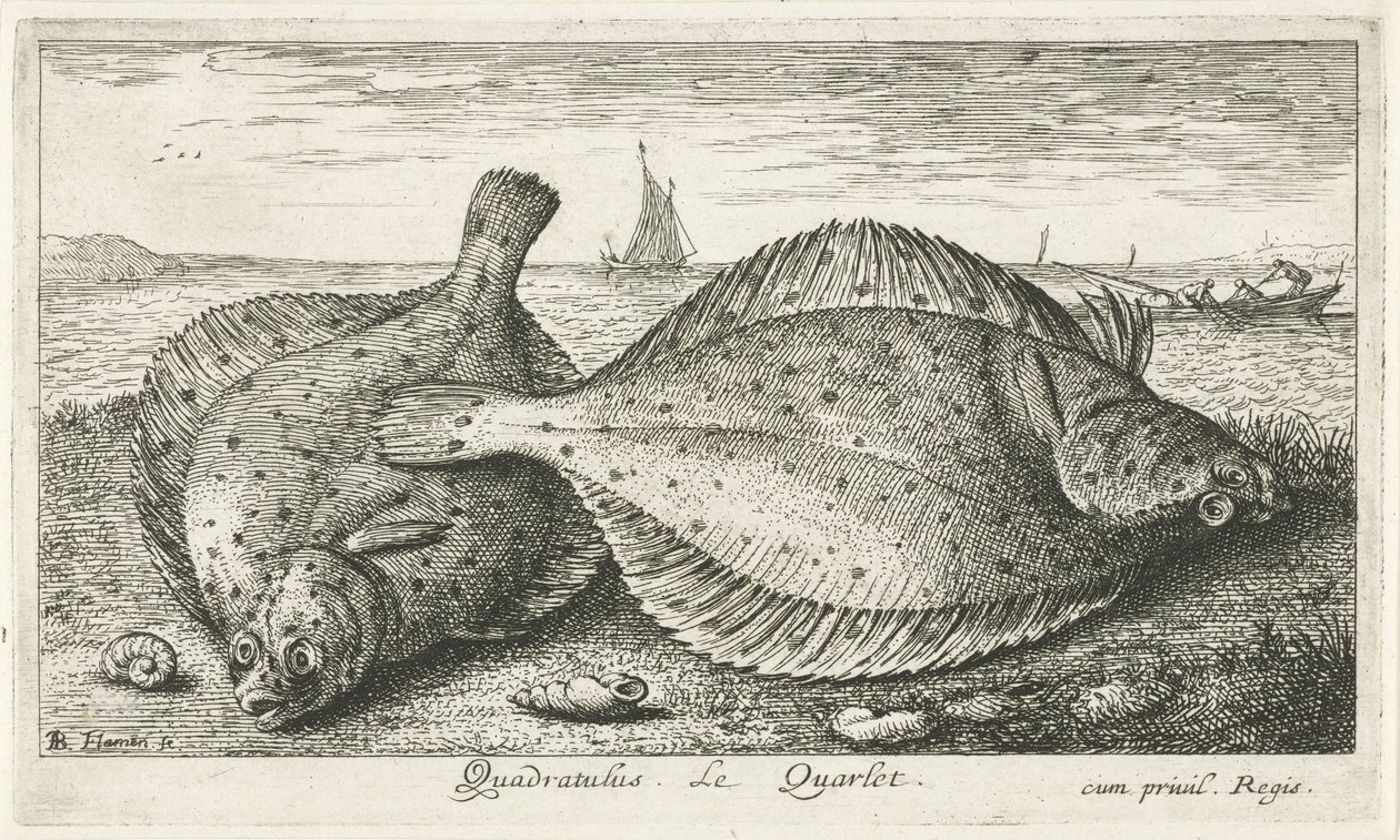 Twee schollen op het strand door Albert Flamen