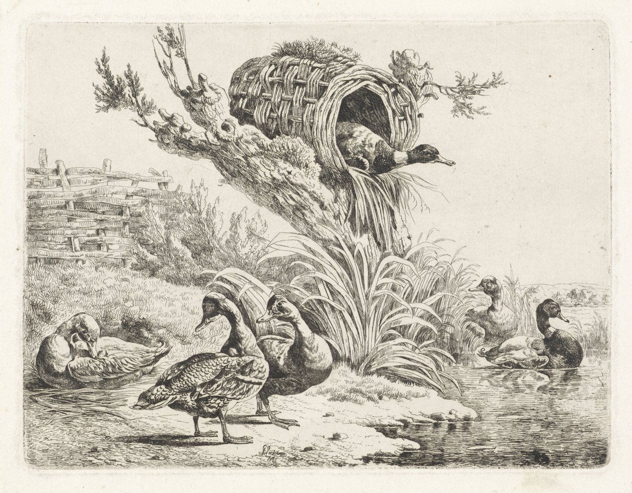 Eenden aan een waterkant door Albertus Verhoesen