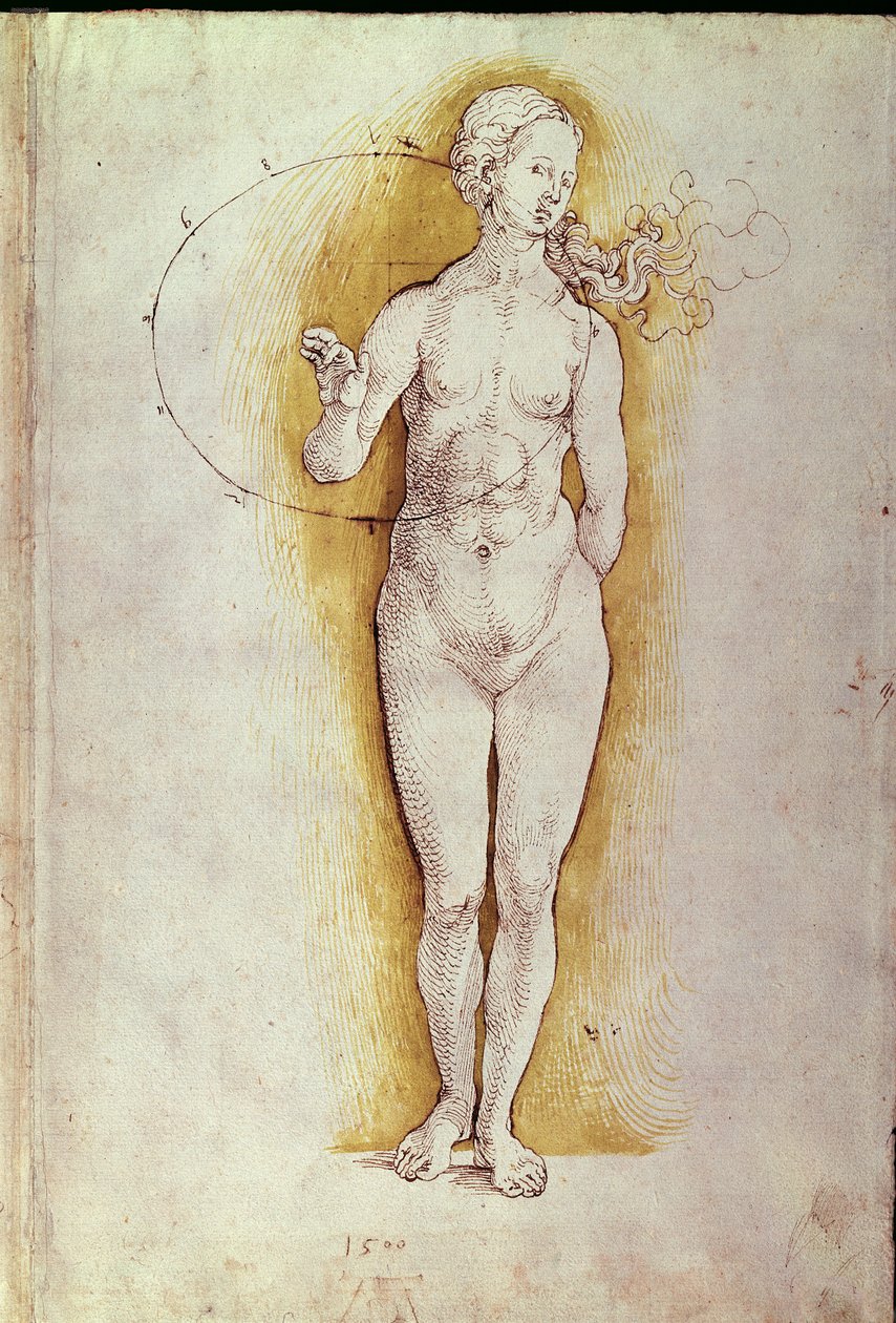 Vrouwelijk naakt door Albrecht Dürer