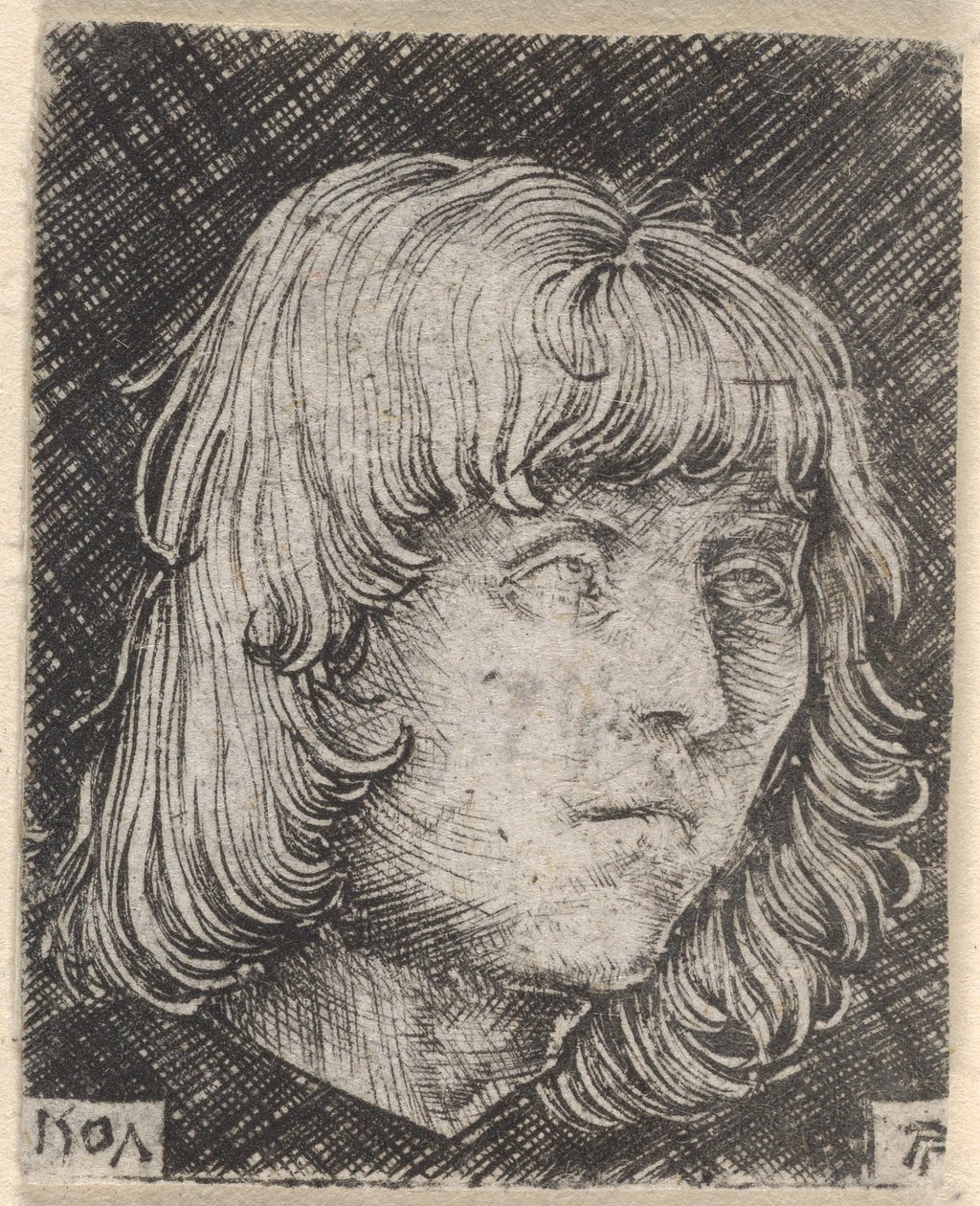 Hoofd van een jonge man door Albrecht Altdorfer