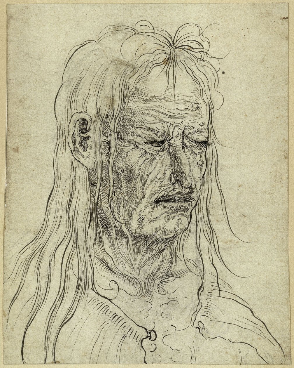 Hoofd van een lelijke oude vrouw, naar rechts door Albrecht Altdorfer