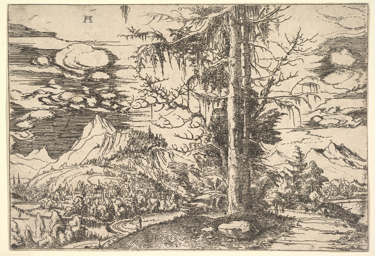 Landschap met een Dubbele Spar door Albrecht Altdorfer