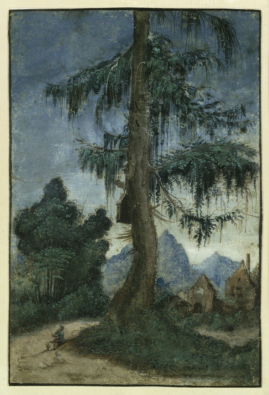 Landschap met sparren door Albrecht Altdorfer