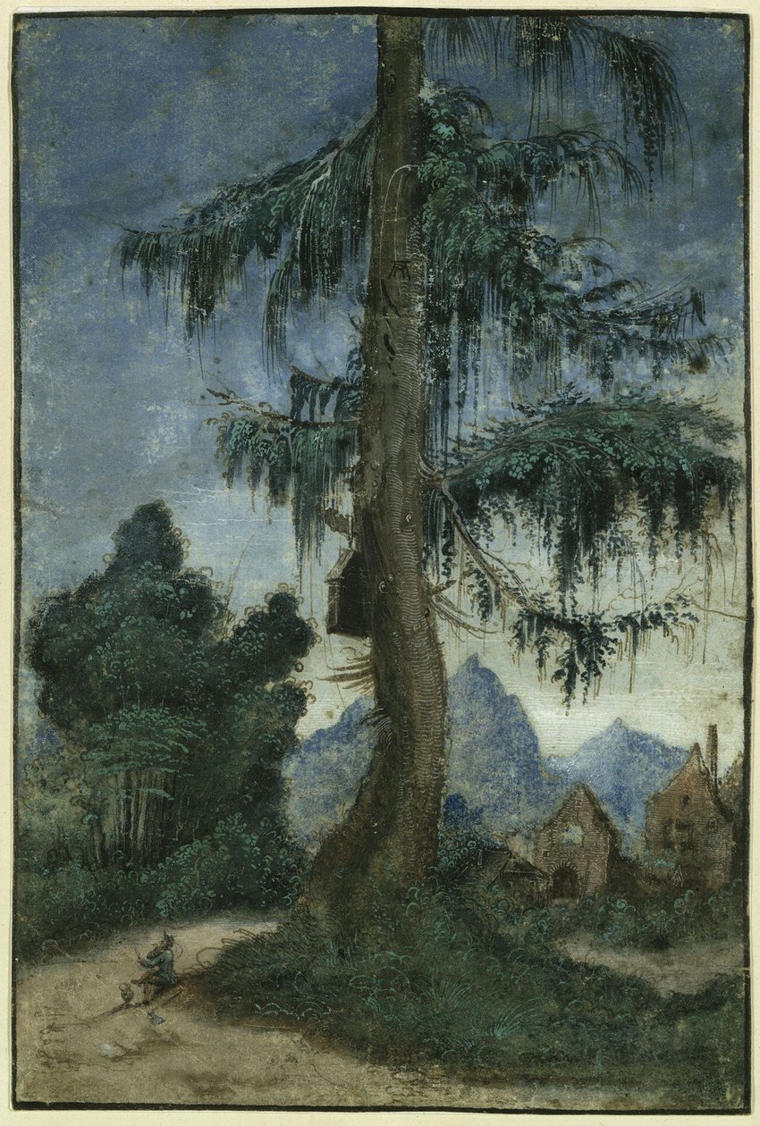 Landschap met sparren door Albrecht Altdorfer
