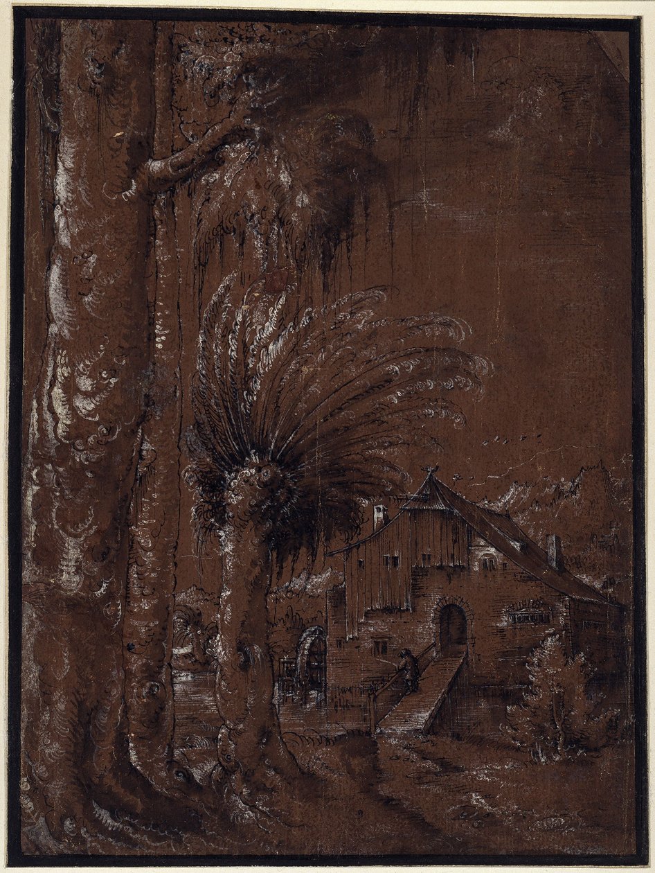Landschap met watermolen door Albrecht Altdorfer