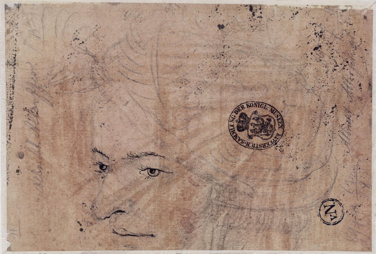 Portretschets van een jonge man met een pet door Albrecht Altdorfer