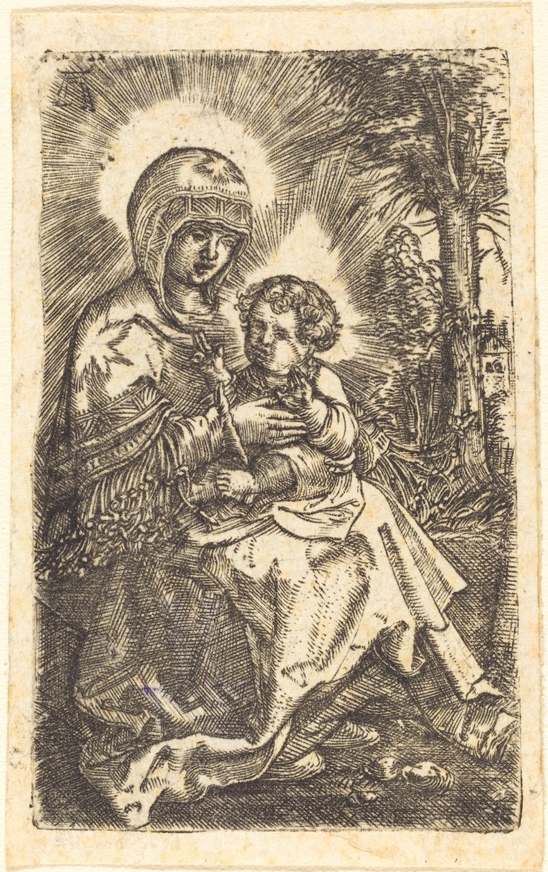 De "Mooie Maagd" van Ratisbon in een landschap door Albrecht Altdorfer