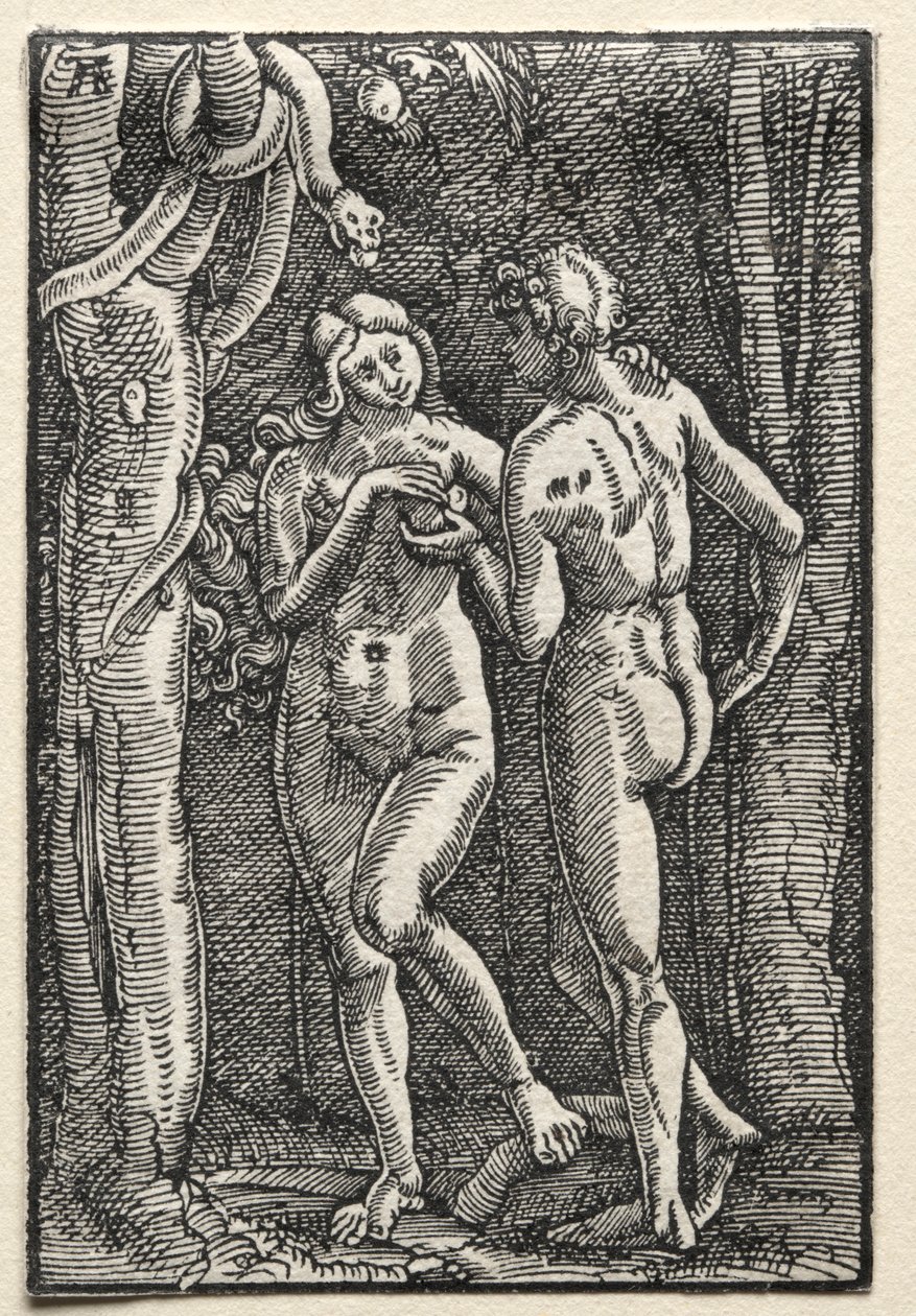 De val en verlossing van de mens: Adam en Eva eten de verboden vrucht, ca. 1515 door Albrecht Altdorfer