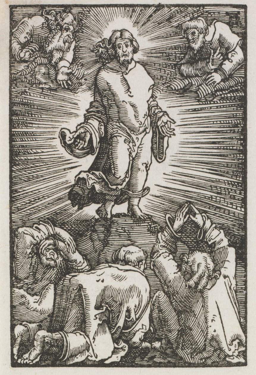 De Val en Verlossing van de Mens: De Transfiguratie door Albrecht Altdorfer