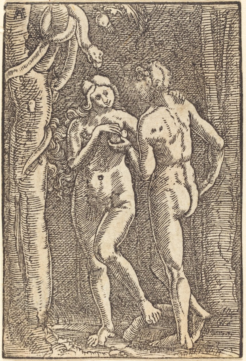 De val van de mens door Albrecht Altdorfer
