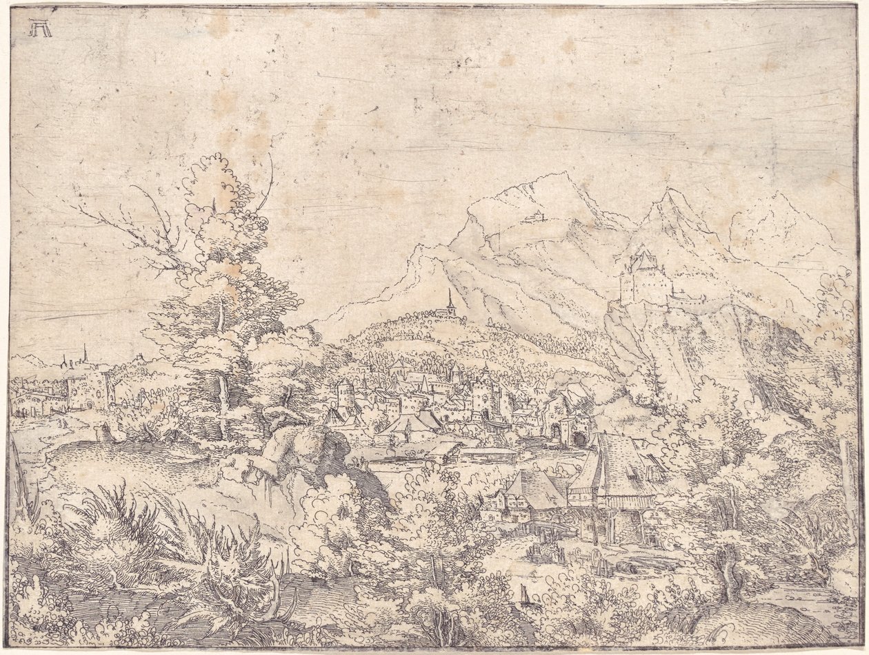 Het grote landschap met de watermolen door Albrecht Altdorfer
