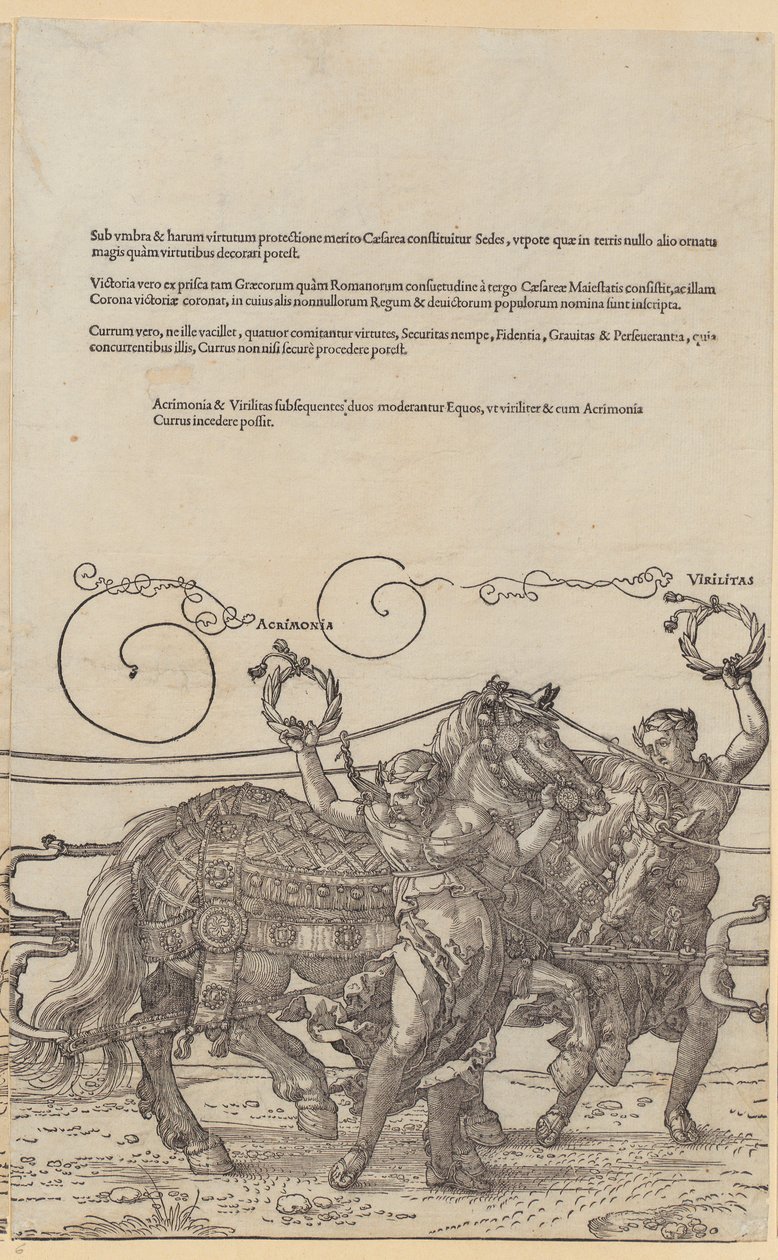 Acrimonia, blad 6 van de reeks „De grote triomfwagen“ door Albrecht Dürer