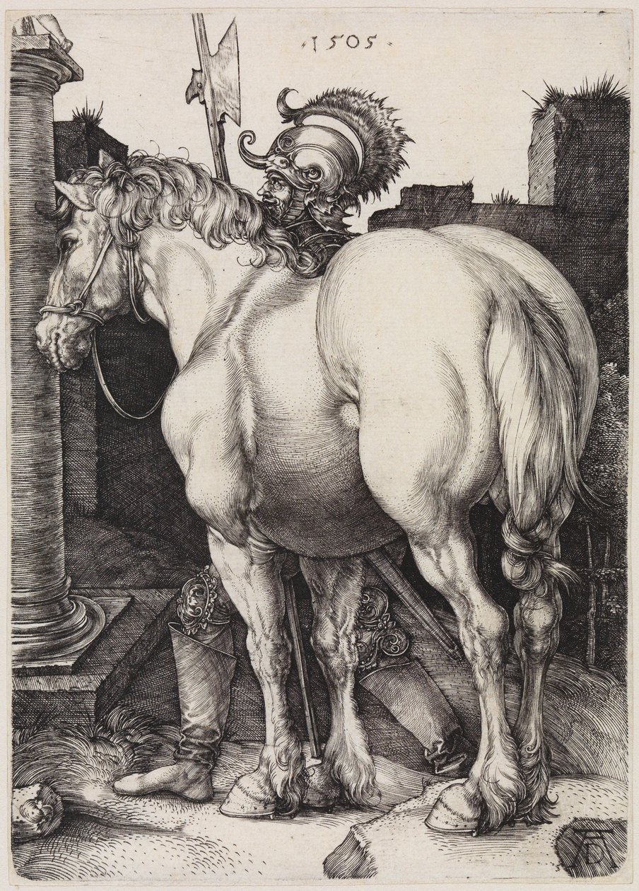 Het grote paard door Albrecht Dürer