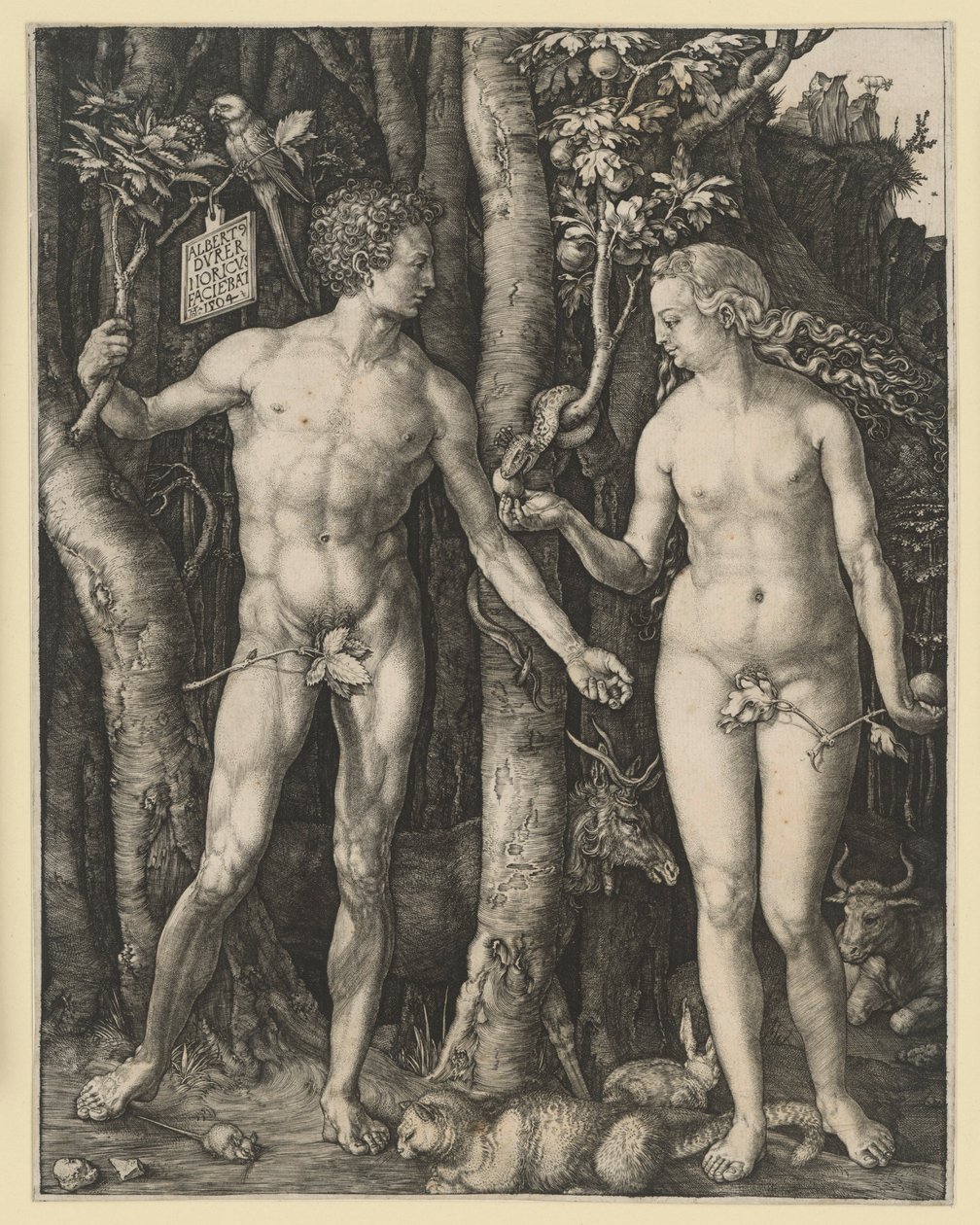 De zondeval door Albrecht Dürer