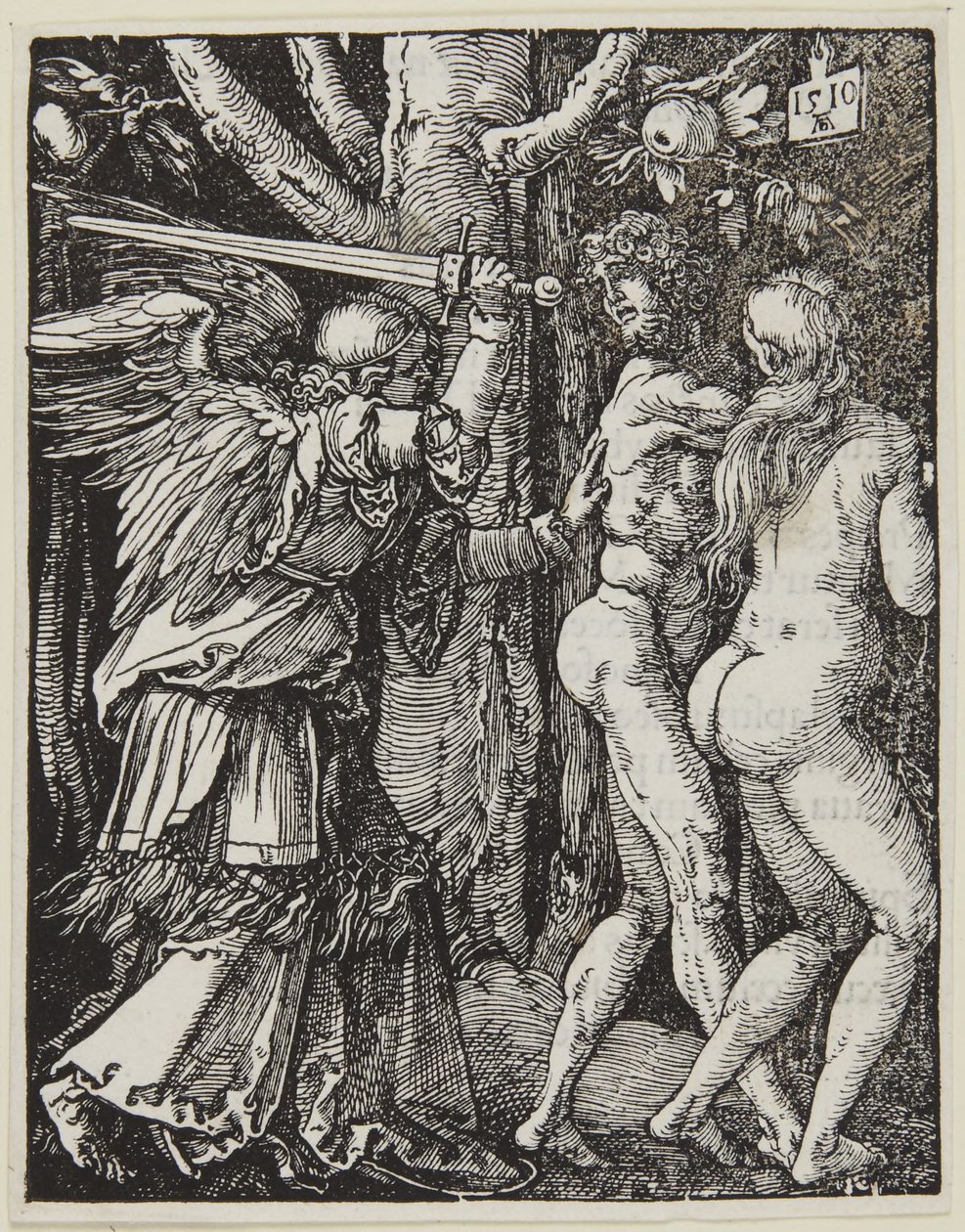 De verdrijving uit het paradijs door Albrecht Dürer