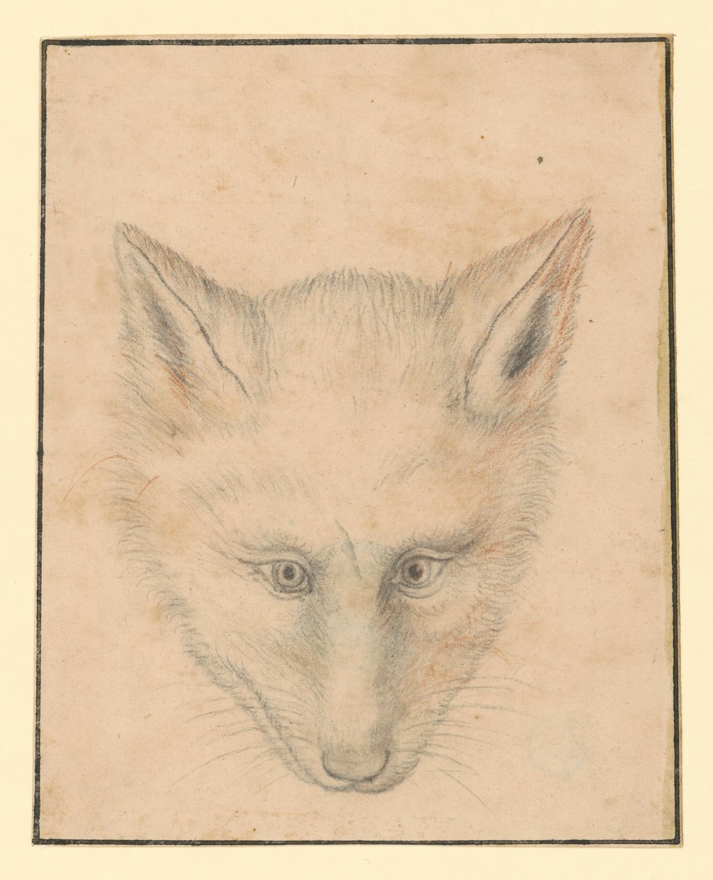 Vossenkop, van voren gezien door Albrecht Dürer