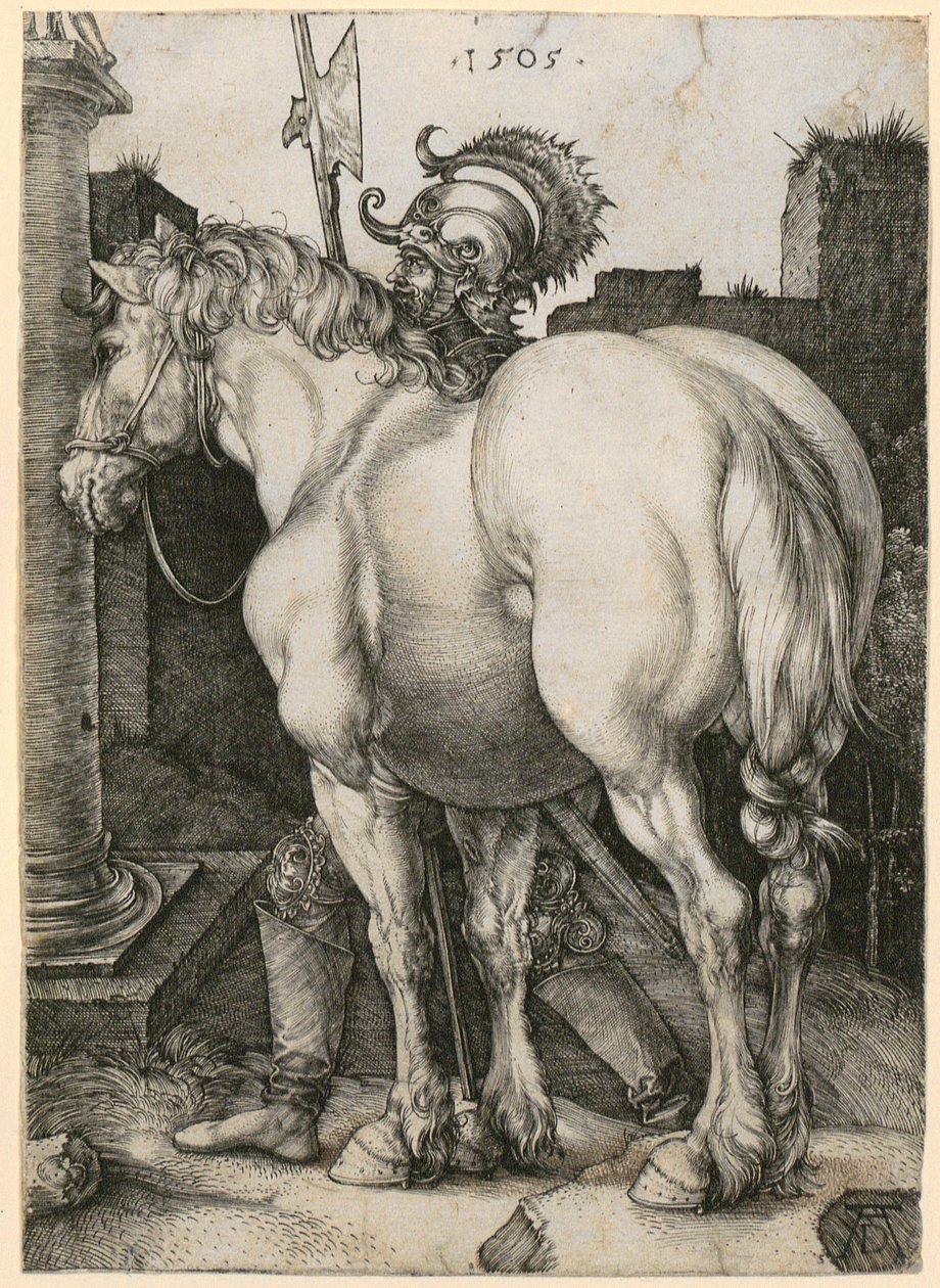 Het grote paard door Albrecht Dürer