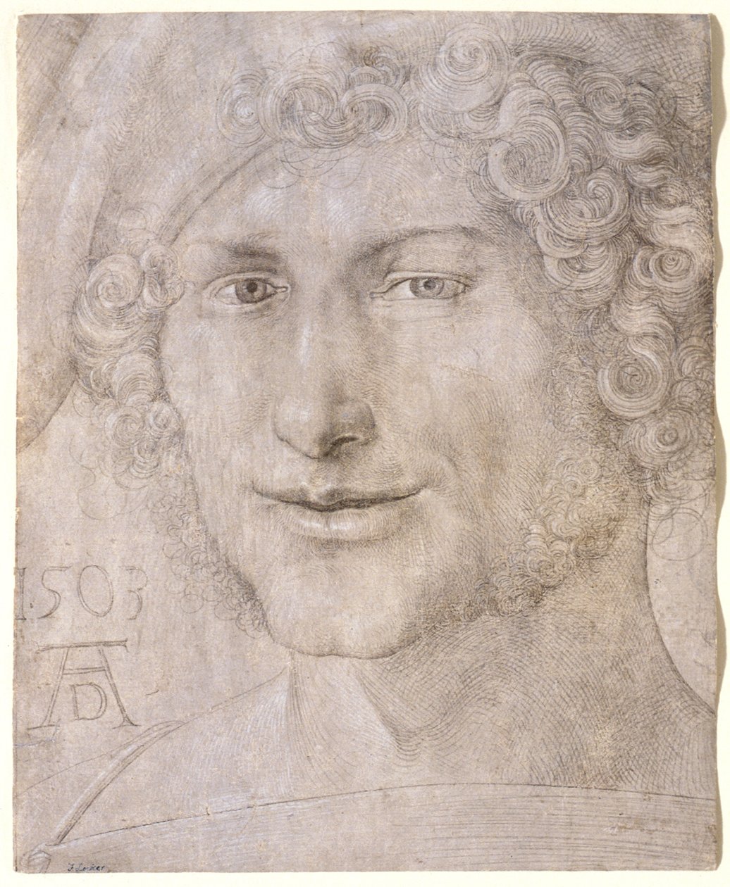 Hoofd van een jonge man door Albrecht Dürer