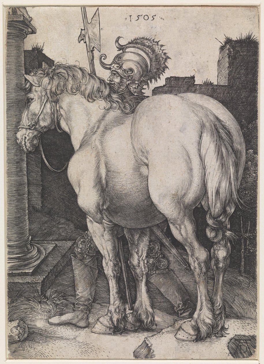 Het grote paard door Albrecht Dürer