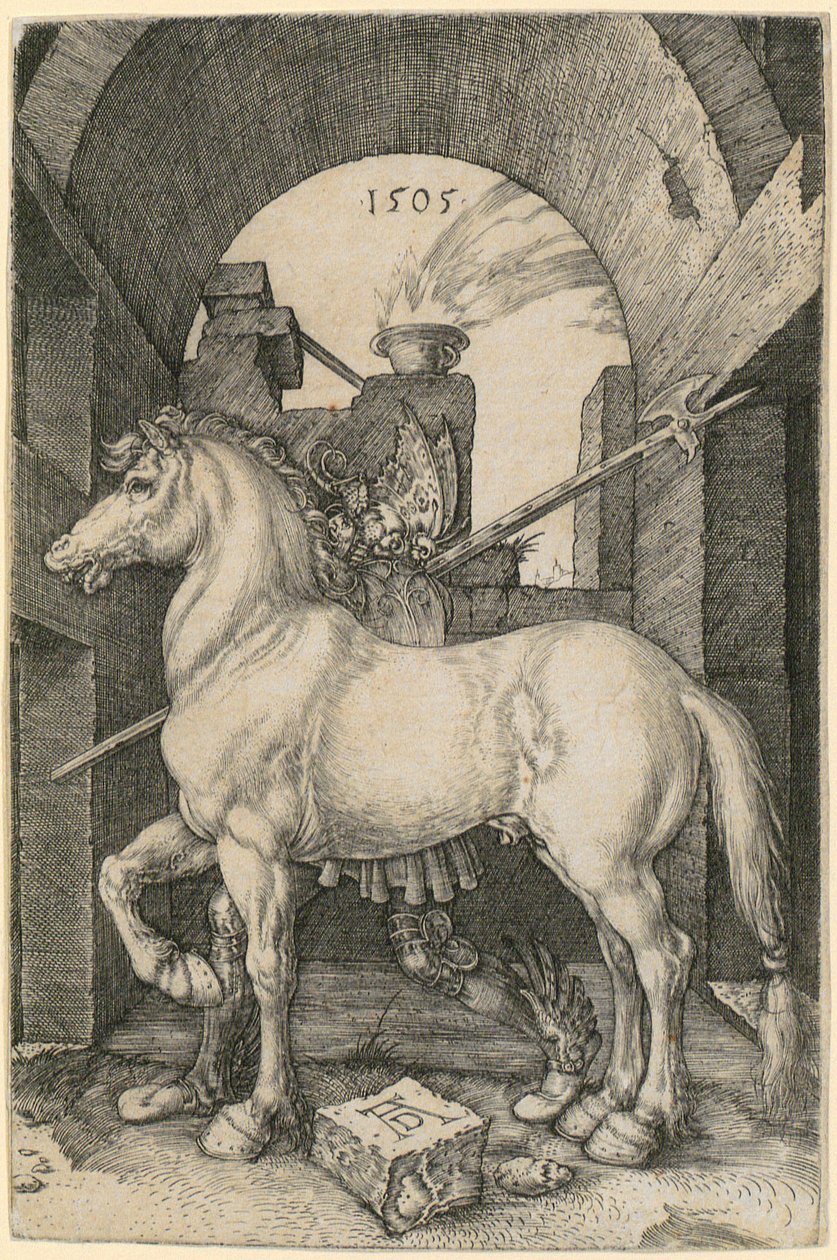 Klein paard door Albrecht Dürer