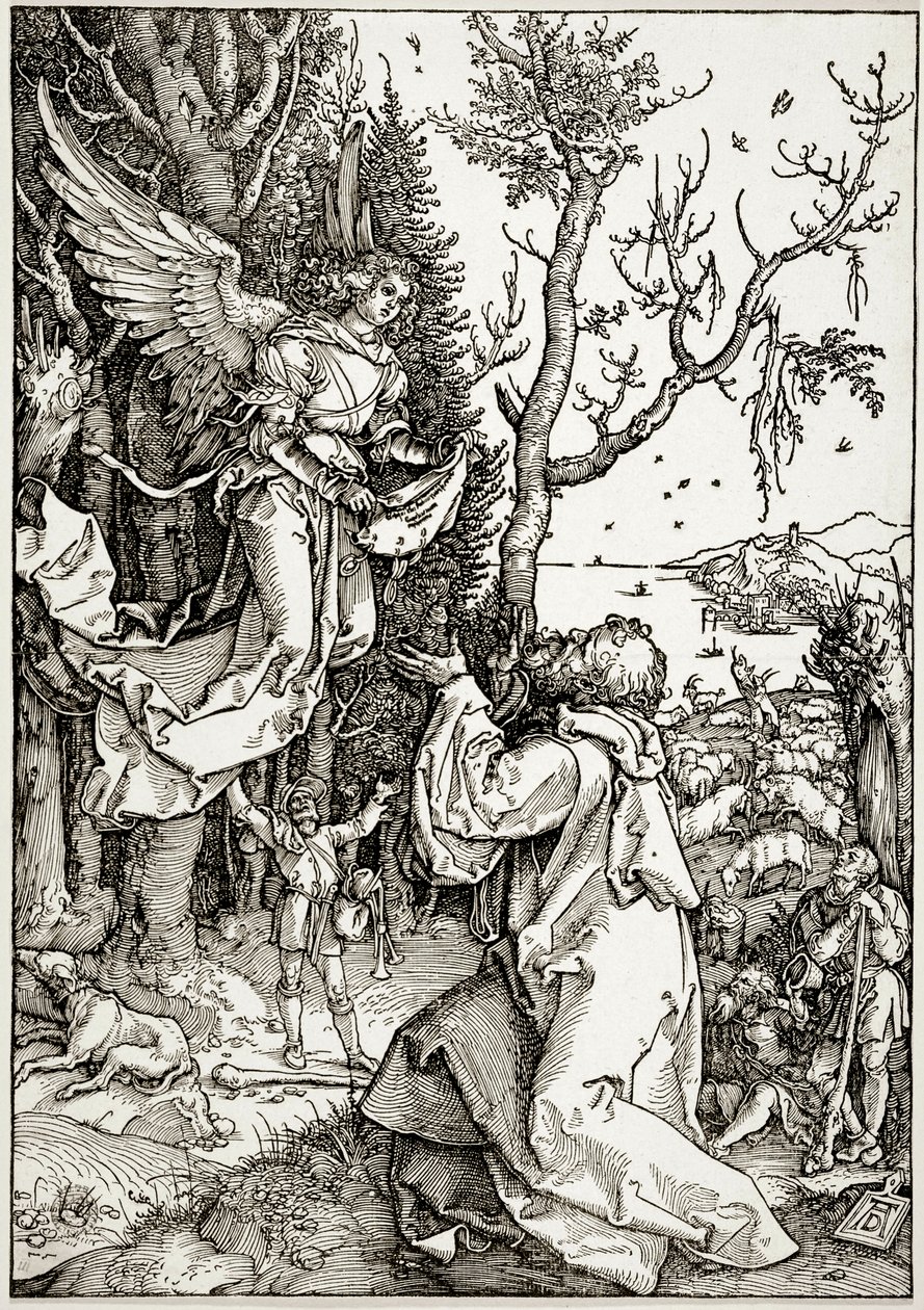 Het leven van de Maagd: Joachim en de engel (Bartsch 78) door Albrecht Dürer