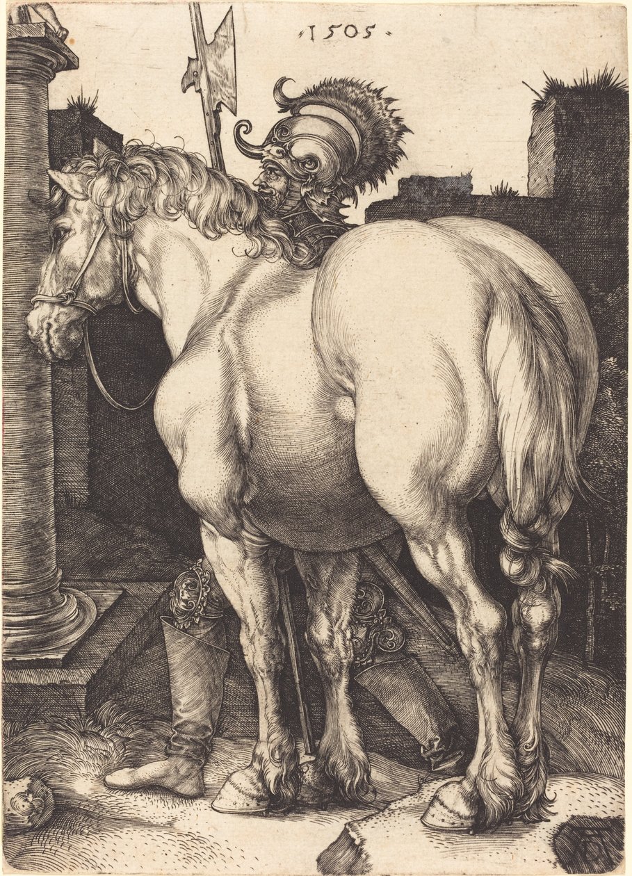 Groot Paard door Albrecht Dürer