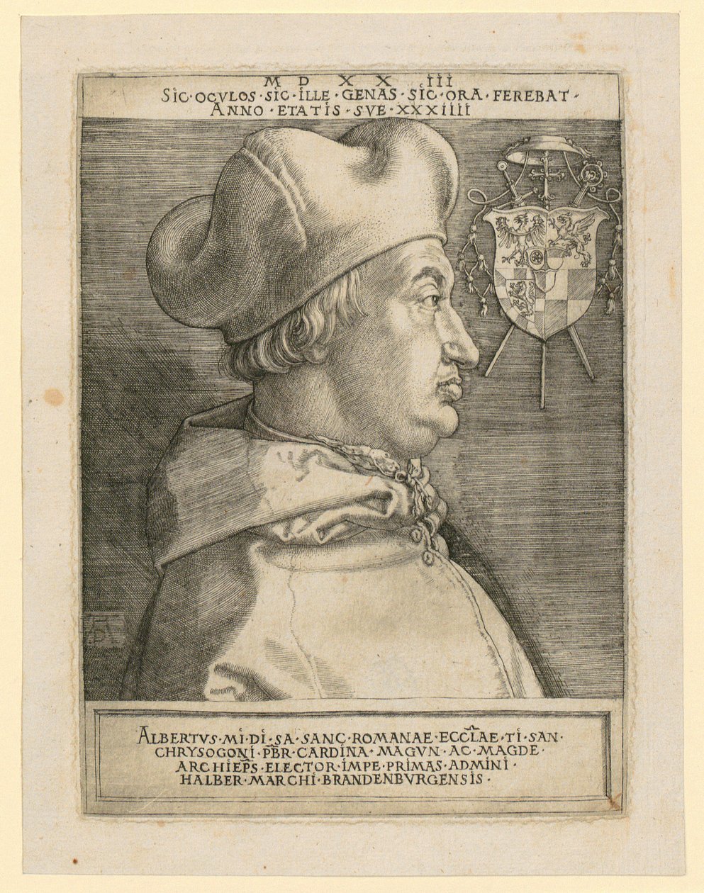 Leeuwenwapen met haan door Albrecht Dürer