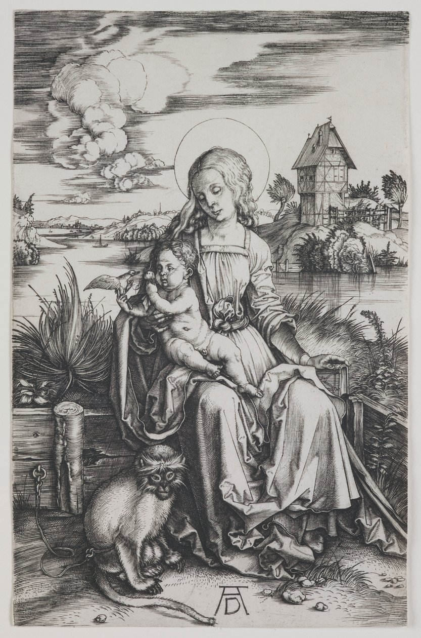 Madonna met de aap door Albrecht Dürer