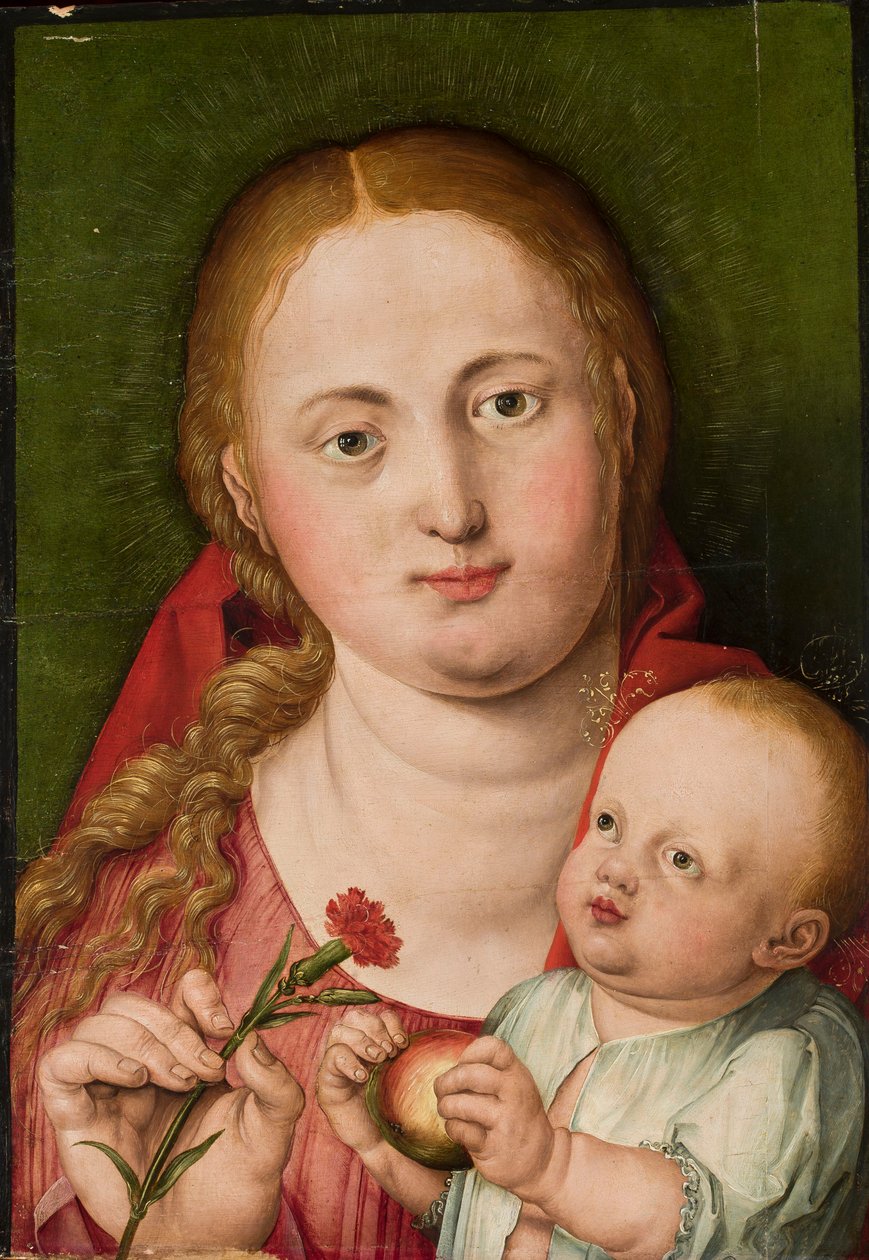 Madonna met het Kind en een anjer door Albrecht Dürer