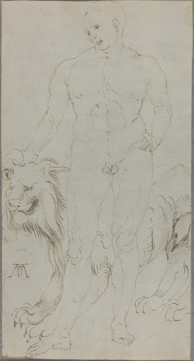 Mannelijke naakt met een leeuw (verso) door Albrecht Dürer