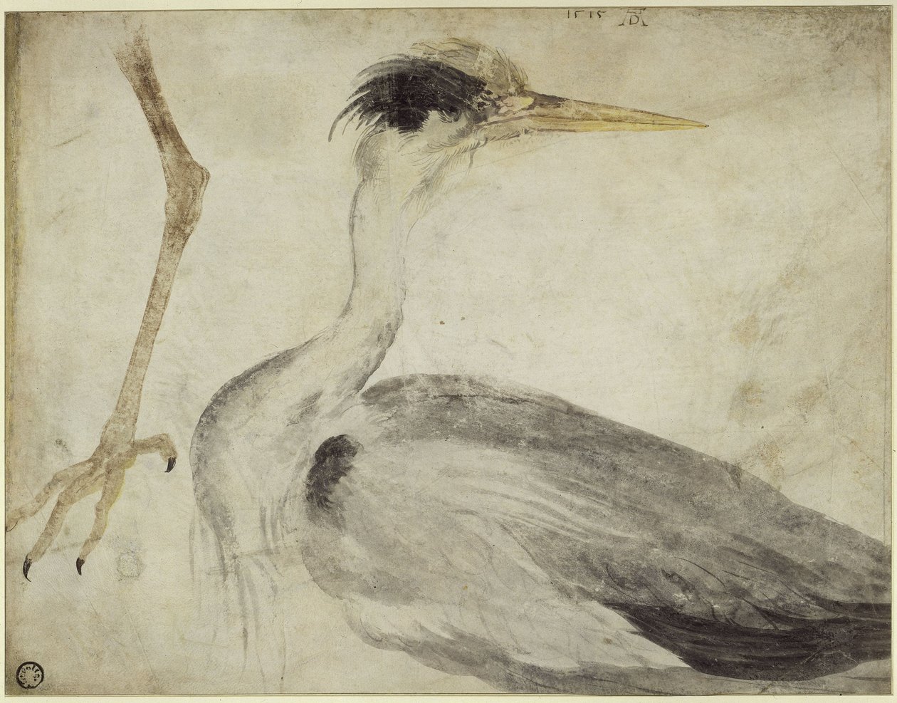 Reiger door Albrecht Dürer