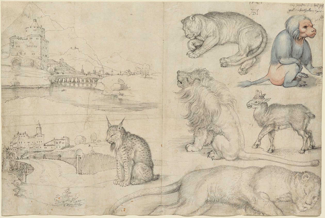 Schetsen van Dieren en Landschappen, 1521 door Albrecht Dürer