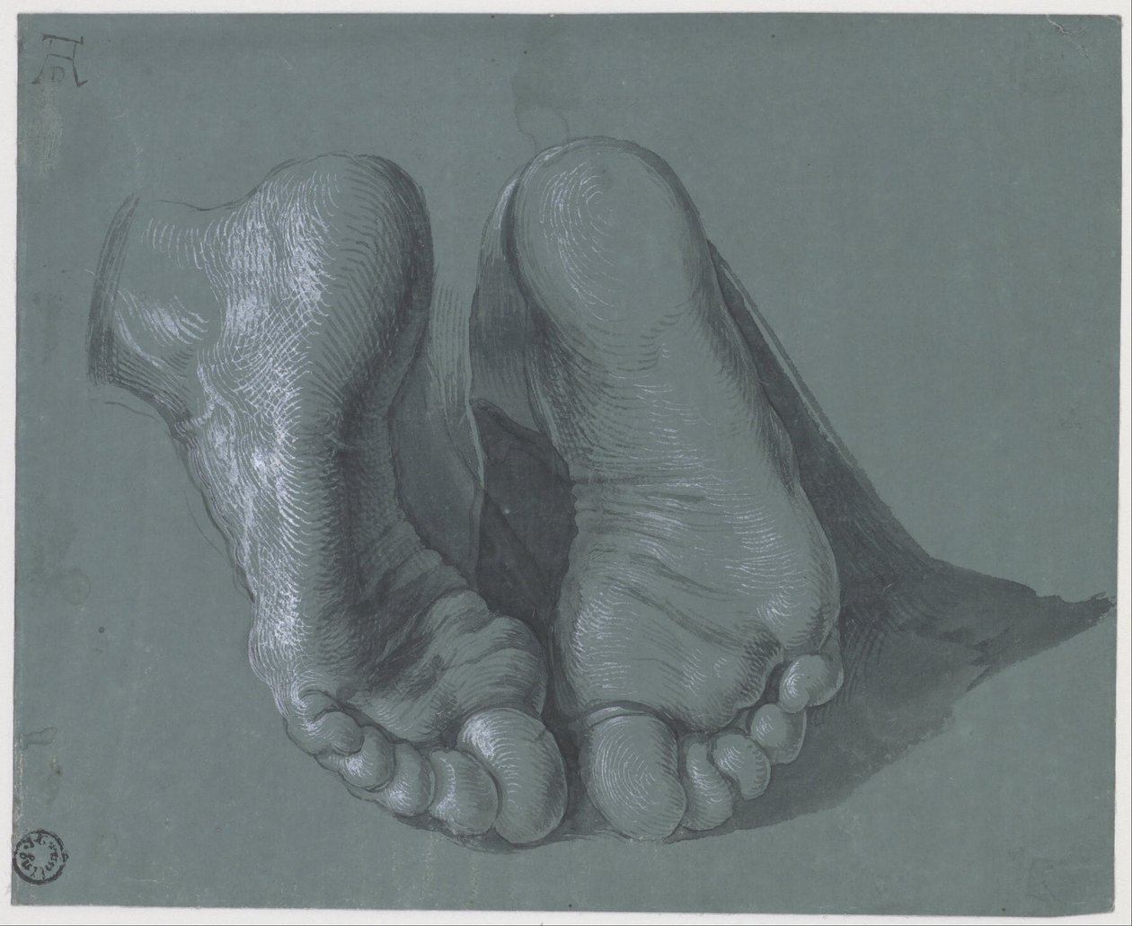 Studie van Twee Voeten door Albrecht Dürer