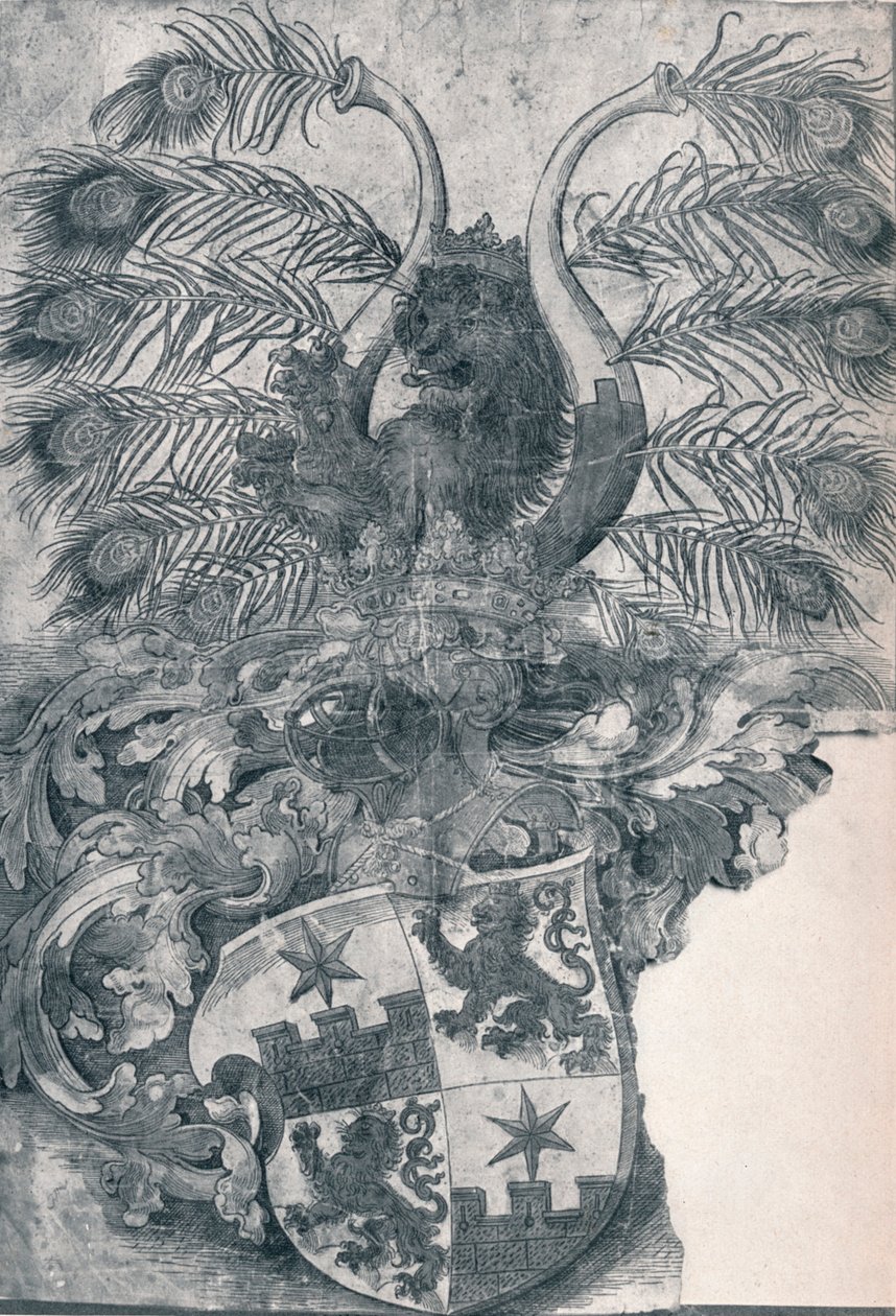 Het wapen van Wilhelm en Wolfgang Roggendorff, 1520 1906 door Albrecht Dürer