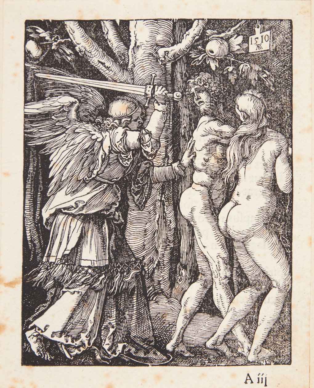 De verdrijving uit het paradijs door Albrecht Dürer