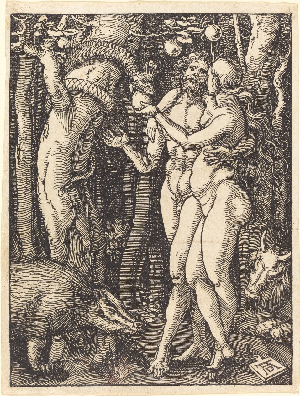 De val van de mens door Albrecht Dürer