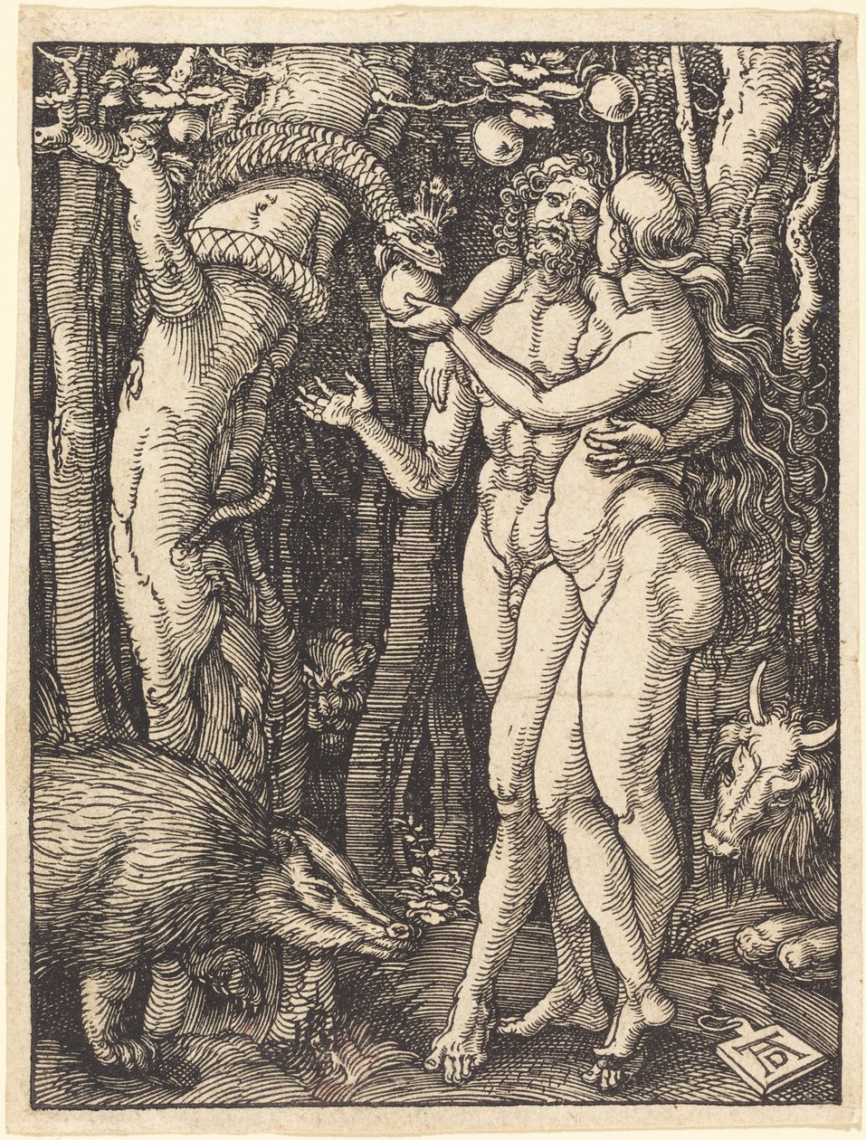 De zondeval door Albrecht Dürer
