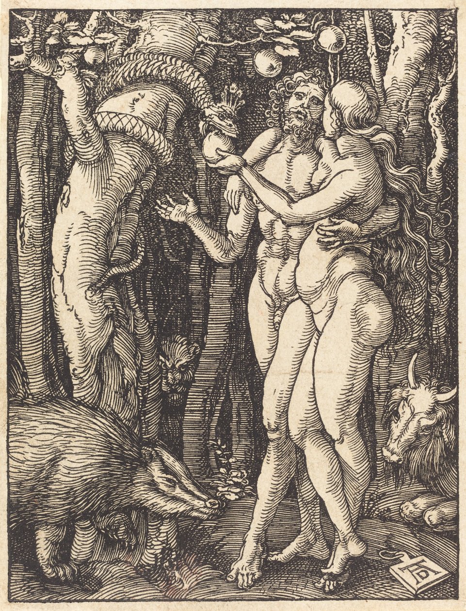 De Val van de Mens door Albrecht Dürer