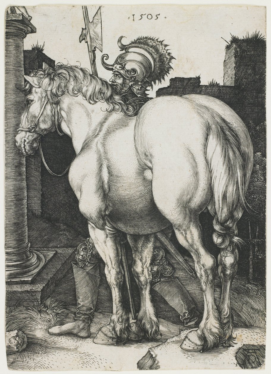 Het Grote Paard door Albrecht Dürer