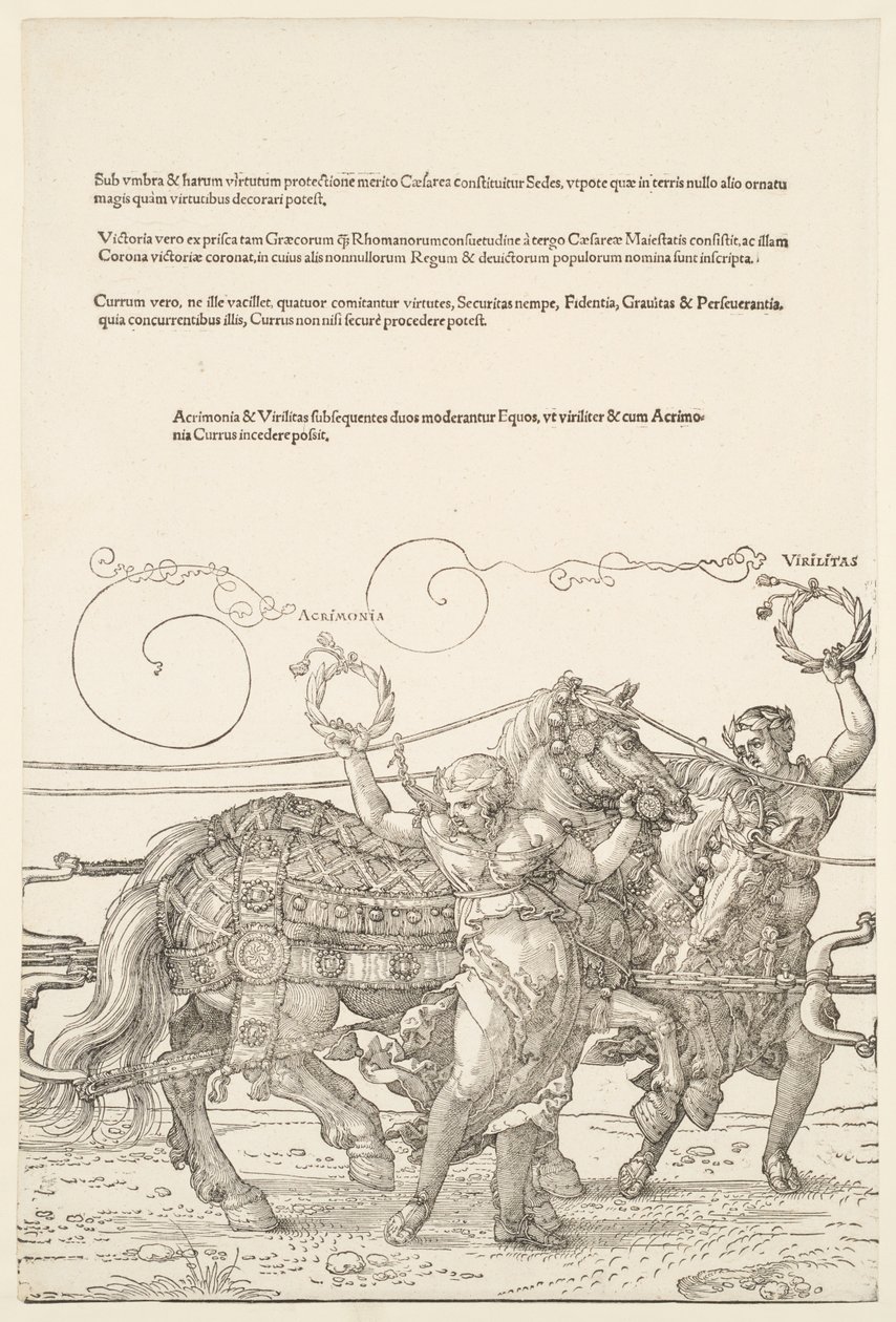 De Grote Triomfwagen: Acrimonia en Virilitas door Albrecht Dürer
