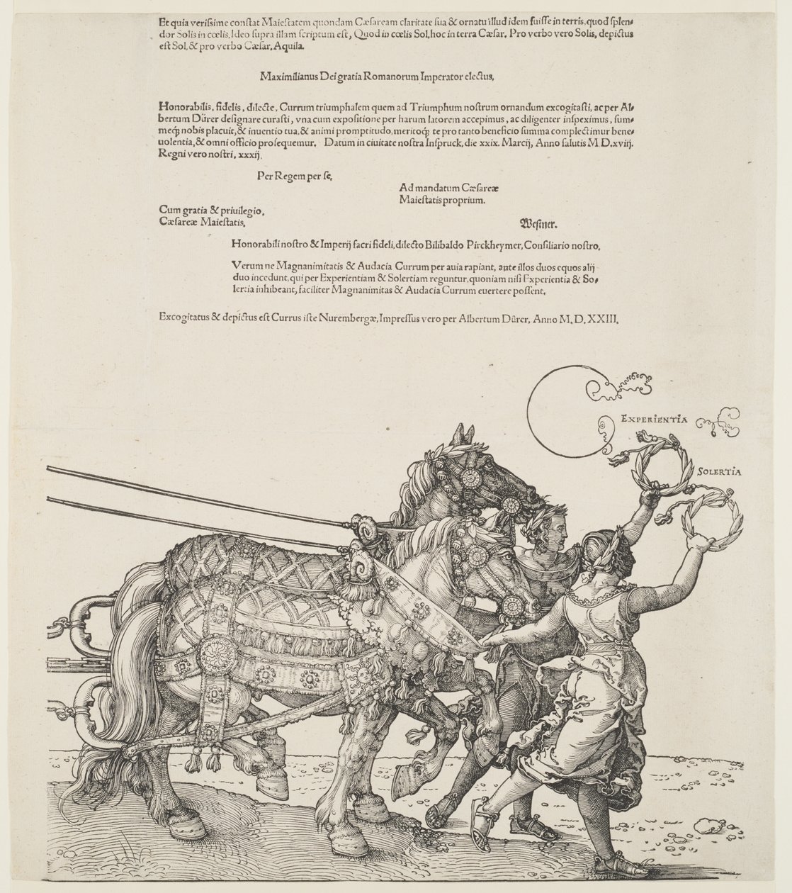 De grote triomfwagen: Ervaring en behendigheid door Albrecht Dürer