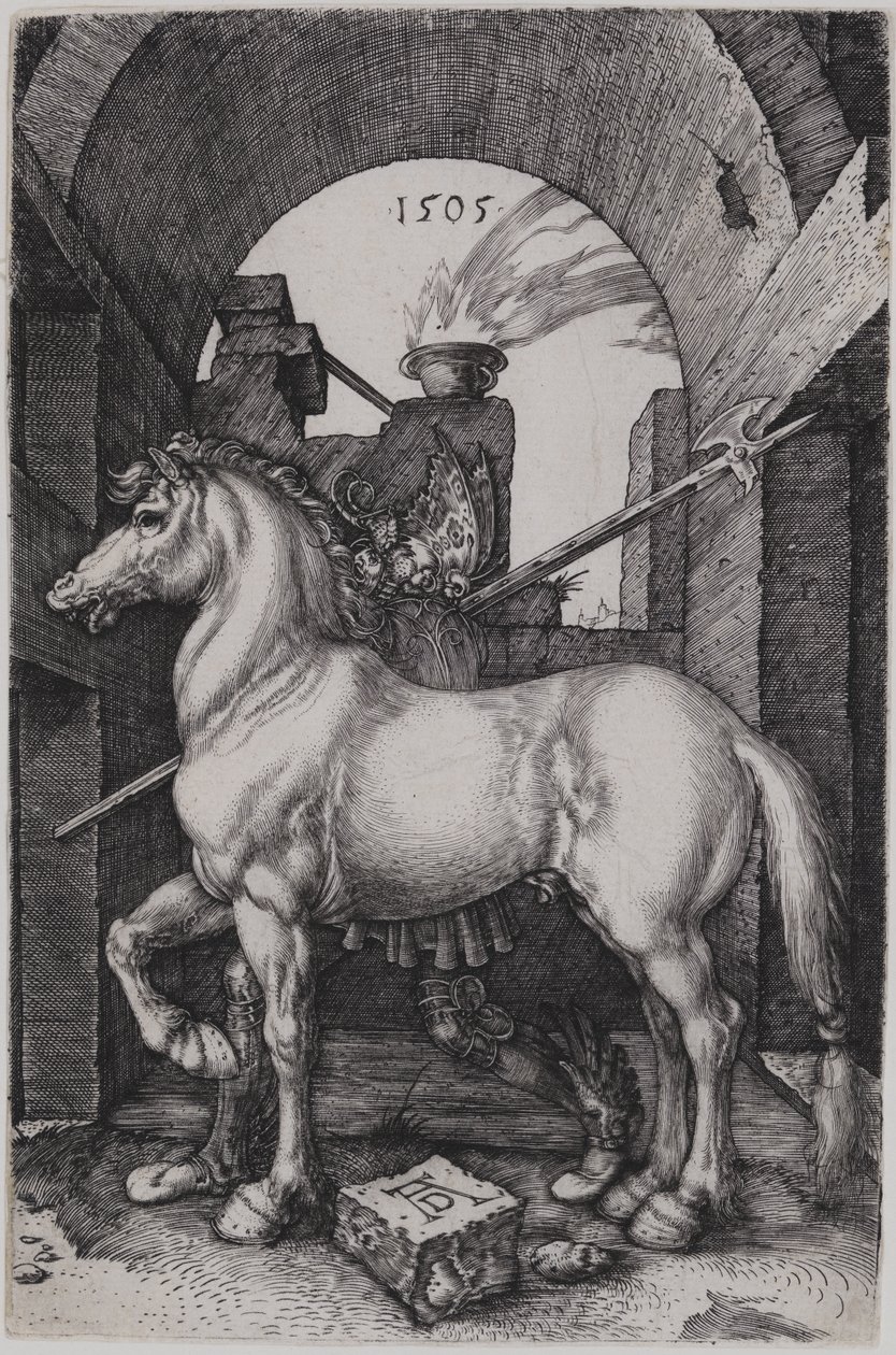 Het kleine paard door Albrecht Dürer