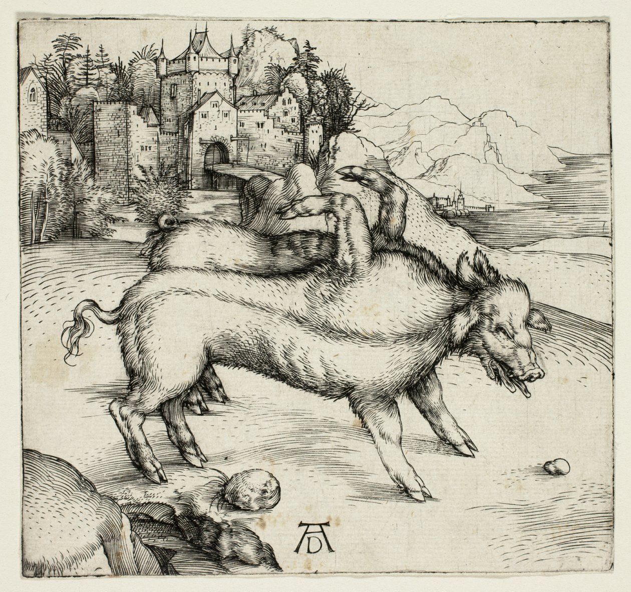 Het Monsterlijke Zwijn van Landser door Albrecht Dürer