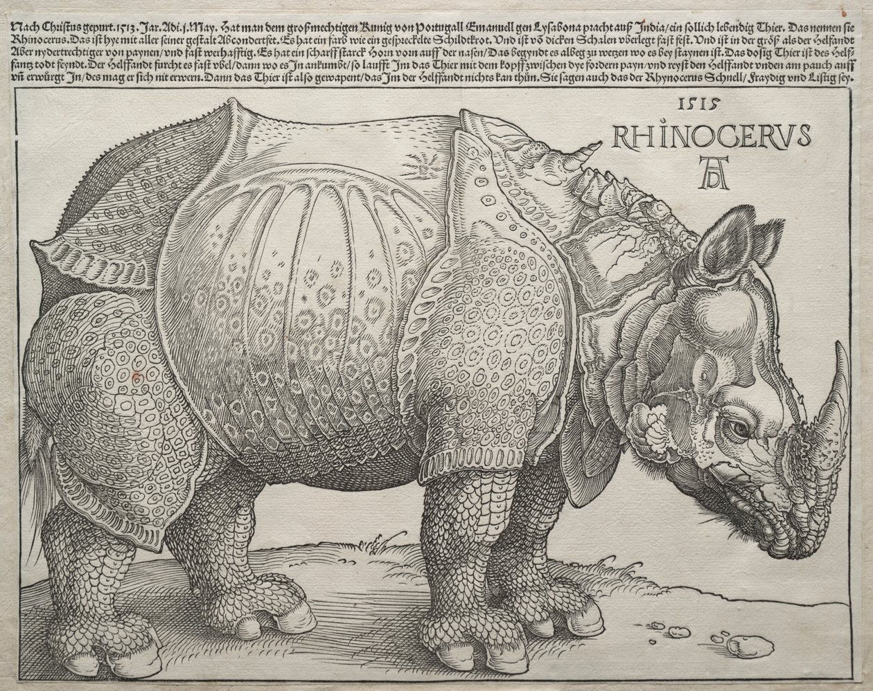 De Neushoorn door Albrecht Dürer